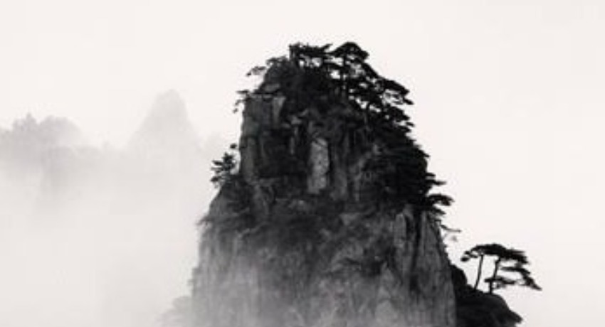 传媒风向标 - 抖阴 - 内容营销风向前沿指引平台